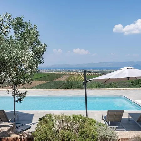 The Olive Hill *