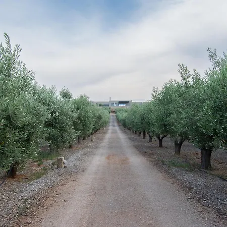 The Olive Hill Σπίτι διακοπών Ássos