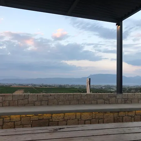 The Olive Hill