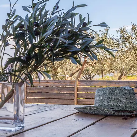 בית נופש The Olive Hill Ássos