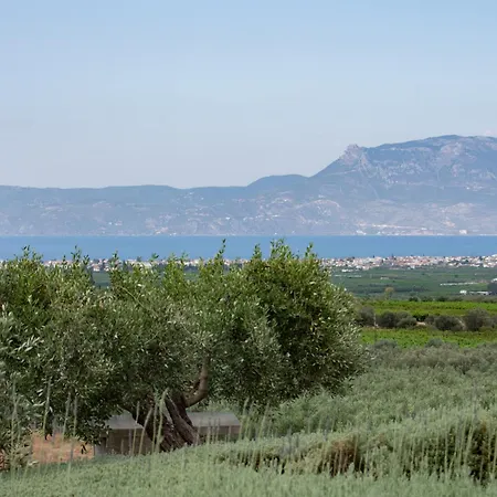 Holiday home The Olive Hill *