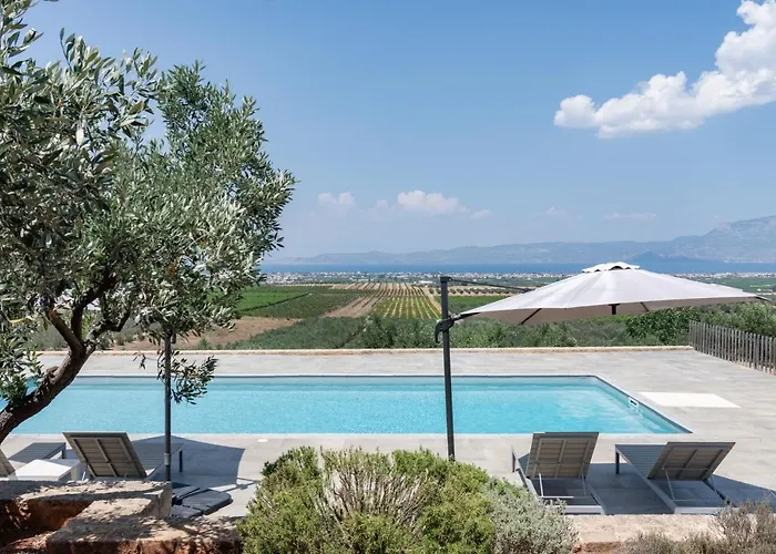 The Olive Hill *