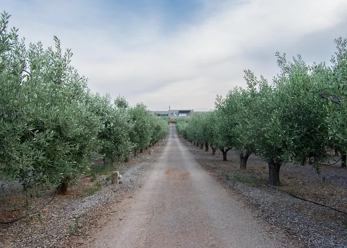 The Olive Hill Σπίτι διακοπών Ássos