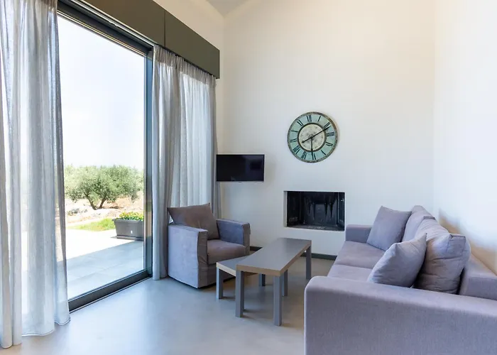 The Olive Hill *