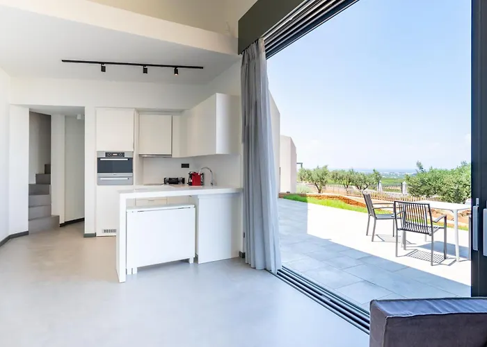 The Olive Hill *