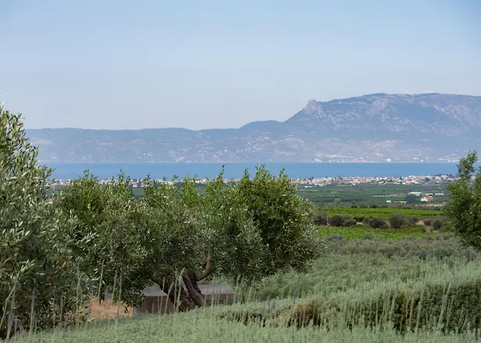 Σπίτι διακοπών The Olive Hill *